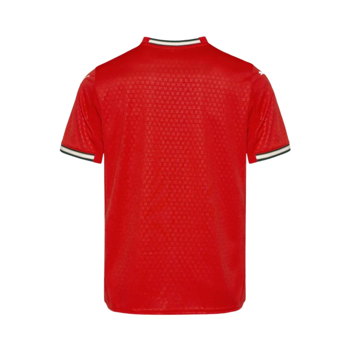 Portugal Home 2026/27 Football Jersey