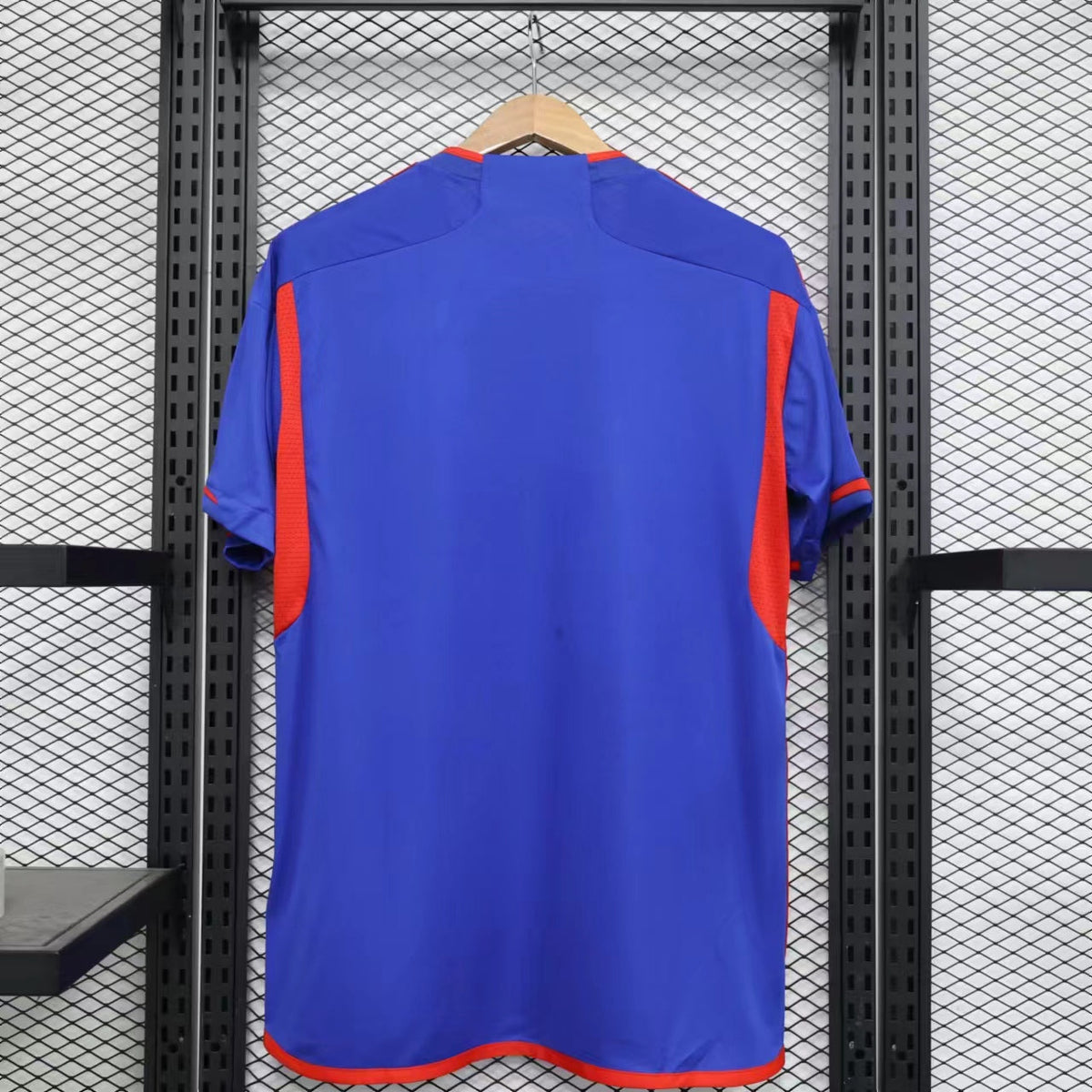 Lyon Away 2024/25 Football Jersey